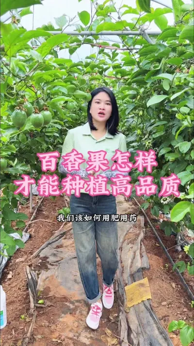 百香果如何才能做到好品质高产量呢？#乡村守护人 #服务三农支持三农 #抖音助农 #百香果 #新农人计划 @抖音小助手 @DOU+小助手