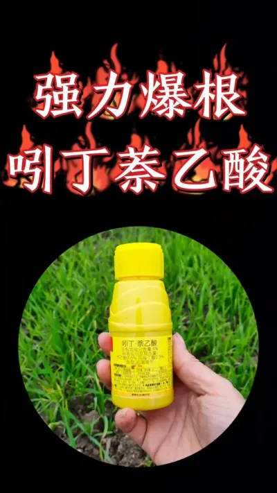 强力生根剂吲丁萘乙酸，一瓶十亩地，一亩地才一块钱，真正的批发价#农资肥料 #三农种植 #小麦 #生根剂 #小麦种植