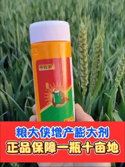 正品小麦增产膨大剂，小麦齐穗灌浆期增产必备 一亩不到两块钱，小麦增产看得见，粮大侠增产膨大剂，增产顶呱呱#小麦 #小麦种植 #小麦高产技术 #农资肥料 #农资店