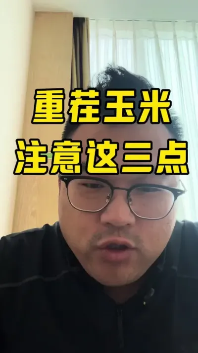 重茬玉米，注意哪些问题？ #玉米种植技术 #玉米增产技术