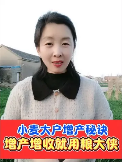 小麦增产膨大剂认准粮大侠，正品保障买一赠一#农资肥料 #三农种植 #小麦 #小麦高产技术 #小麦种植管理技术