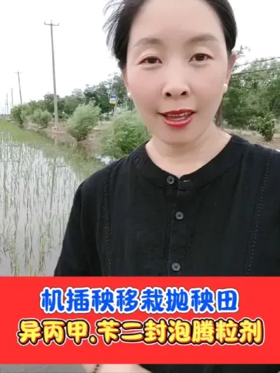 机插秧田移栽抛秧田二封泡腾粒剂 一亩地只要几块钱，轻松二次封闭，拌肥撒施飞防都可以#水稻封闭 #水稻封闭除草剂 #水稻种植 #农资肥料 #农业种植