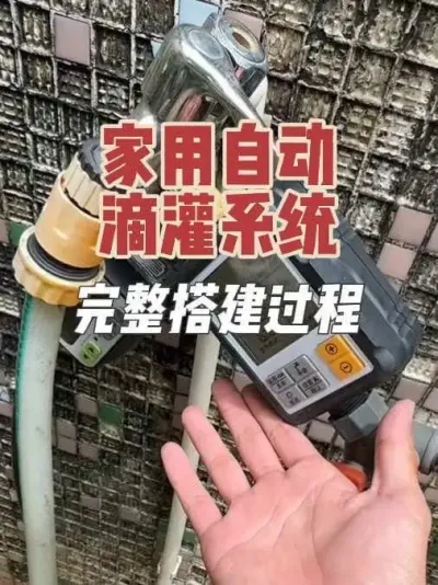 如何搭建家庭的自动浇水滴灌系统？一整套完整的搭建流程。#滴灌系统#自动浇水