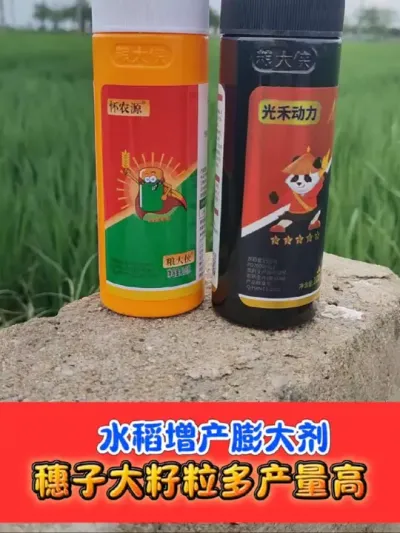 正品水稻增产膨大剂买一赠一活动中 水稻增产膨大剂认准粮大侠#膨大剂 #水稻种植 #水稻 #农资肥料 #农业种植