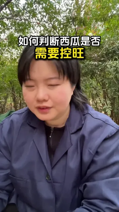 #西瓜种植#西瓜管理#西瓜高产#西瓜控旺