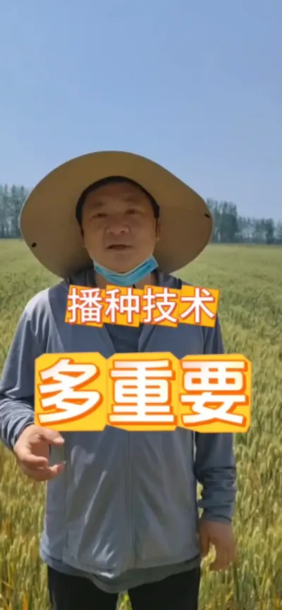 #播种技术 #种地