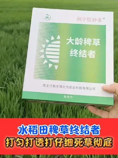 水稻田稗草克星就是铁砂掌 铁砂掌除草剂，打匀打透喷到根，死草彻底不反弹#水稻除草 #水稻种植 #水稻除草剂 #铁砂掌除草剂 #农资肥料