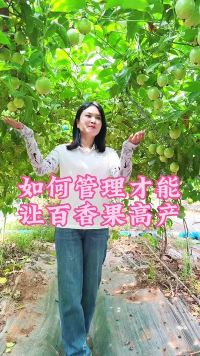 百香果如何管理才能让它花苞不断果子一直长！#乡村守护人 #三农 #新农人计划 #百香果#抖音助农 @抖音小助手 @DOU+小助手