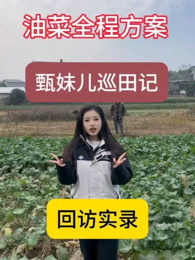 油菜全程方案 田间湿度过大，油菜到底能不能种好？#服务三农支持三农 #油菜种植 #国光