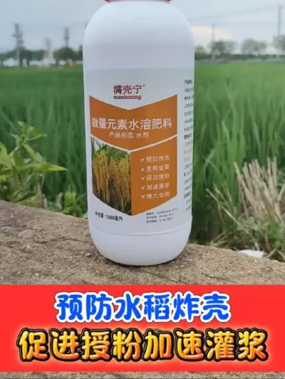 预防水稻炸壳空壳瘪粒就用满壳宁 满壳宁一瓶十亩地，预防炸壳空壳瘪粒，促进授粉灌浆#水稻炸壳 #水稻种植 #水稻 #农资肥料 #吴平农资