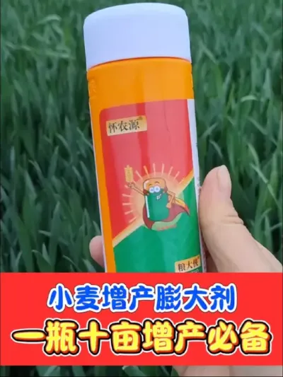 小麦增产必备粮大侠苄氨烷醇 一亩不到两块钱，提高小麦产量轻松搞定#小麦 #小麦种植 #小麦高产技术 #农资肥料 #三农种植