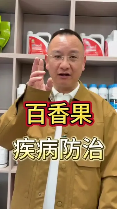 文山种百香果的老板看过来！种植百香果 首选360 #农业 #新农人#农资#种百香果 #文山铭鑫农业