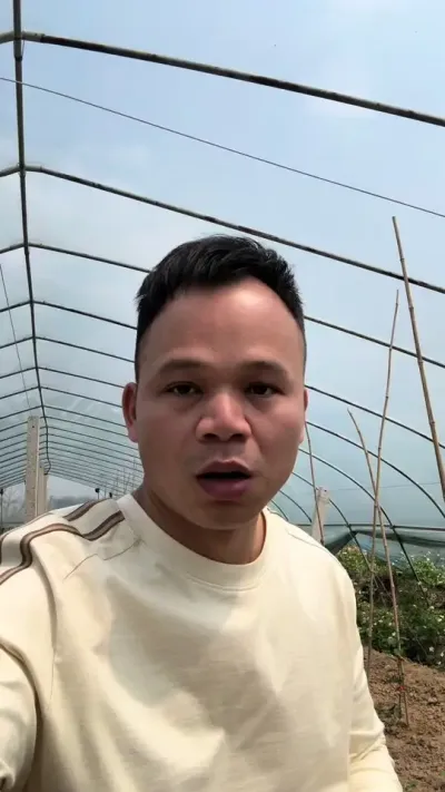 第一批果时候百香果决定成败的关键！#钦蜜9号百香果 #钦蜜9号 #种百香果教程 #种百香果 #农业种植技术