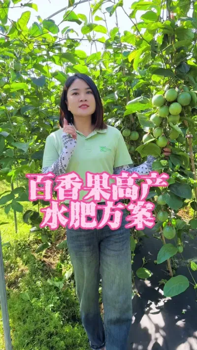 百香果高产水肥方案来了，大家记得收藏起来！#乡村守护人 #服务三农支持三农 #百香果 #抖音助农 #新农人计划