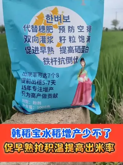 水稻高产韩稻宝，增产提高出米率 一袋十亩地，韩稻宝拍五发六#水稻种植 #水稻 #农资肥料 #农资店 #农业种植