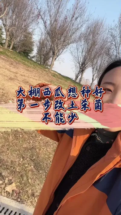 #增产增收才是硬道理#西瓜种植 #土壤改良 #病虫害防治
