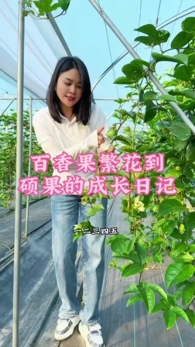从繁花到硕果，百香果的成长日记太喜人~花多果密，这波稳了～#乡村守护者 #三农 #果园基地 #助农#百香果@抖音小助手 @DOU+小助手
