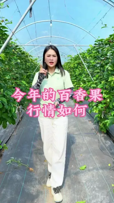 百香果今年行情怎么样？大家一起来探讨一下📍#乡村守护者 #三农 #抖音助农 #黄金百香果 #我的农村生活 @抖音小助手 @DOU+小助手