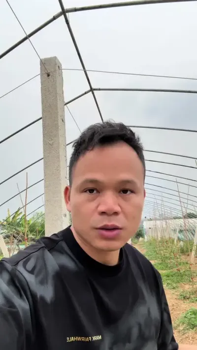 种出来产量跟种出万斤藤的百香果差在哪呢#种百香果 #黄金百香果种植技术 #钦蜜9号百香果 #农业种植技术
