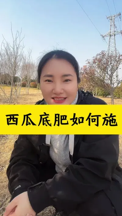 西瓜底肥怎么施#西瓜种植 #种西瓜#西瓜种植技术 #大棚西瓜#西瓜底肥