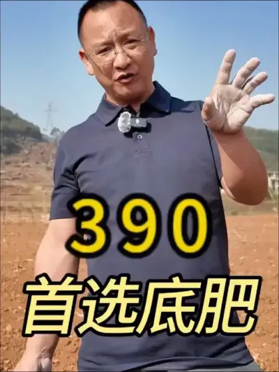 还在为选什么底肥发愁？来看看我们的390方案吧！#农业 #心系三农服务三农 #新农人#底肥 #文山铭鑫农业