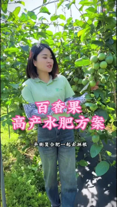 用施康禾一号的百香果花苞连贯，挂果量满满当当的！#乡村守护人 #支持三农扶持三农发展 #新农人计划2024 #百香果 #抖音助农 @抖音小助手 @DOU+小助手