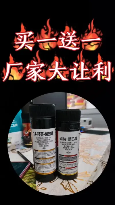 厂家羊毛赶紧薅，小麦分蘖宝，下单就送硝纳萘乙酸生根壮苗促分蘖 #三农种植 #农资肥料 #小麦 #小麦种植 #农业种植技术