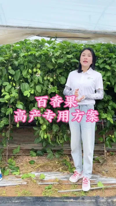百香果一边开花一边挂果，这样的水肥方案是你想要的吗？#乡村守护人 #服务三农支持三农 #抖音助农 #新农人计划 #百香果 @抖音小助手 @DOU+小助手