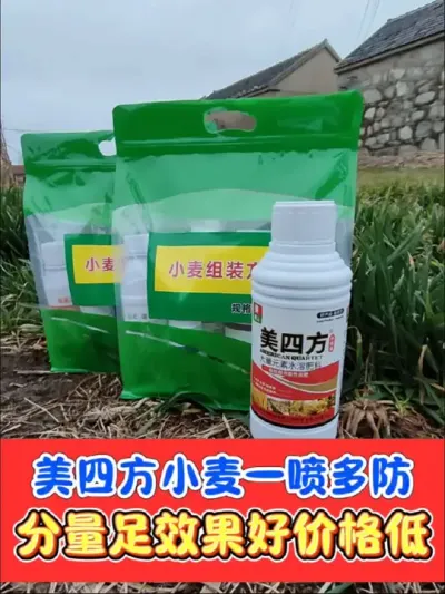 小麦田防病防虫增产美四方组合，厂价直销包邮到家#农资肥料 #三农种植 #小麦 #小麦种植 #小麦高产技术