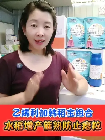 水稻抓紧喷施乙烯利韩稻宝组合 减少空壳瘪粒促进早熟增加产量#水稻 #水稻种植 #农资肥料 #农资实体店