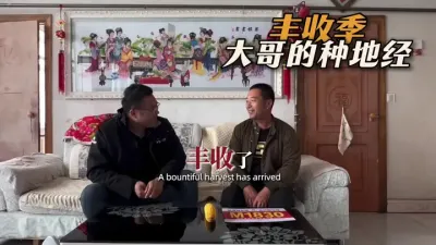 丰收经验，总结过去，看向未来 #种地 #创作人计划