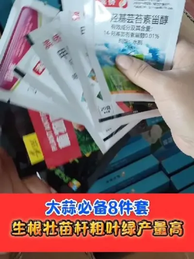 大蒜高产年前必备组合 #大蒜种植 #大蒜 #农资肥料