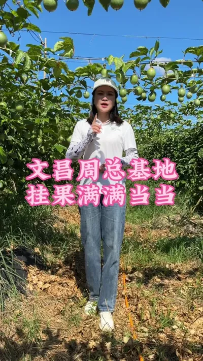 文昌周总基地满园🈵🈵当当的挂果量！#乡村守护人 #百香果 #三农 #助农 #我的乡村生活 @抖音小助手 @DOU+小助手