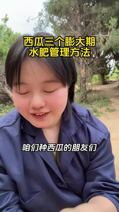 #西瓜管理 #西瓜高产#西瓜种植#西瓜种植技术