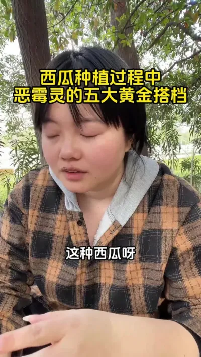 #西瓜种植#西瓜管理#西瓜高产#西瓜病害