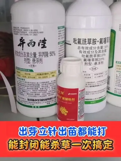 小麦田连封带杀一次搞定 #小麦种植 #小麦封闭除草剂 #农资肥料