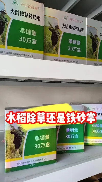 2026种水稻田除草选择铁砂掌 #铁砂掌除草剂 #水稻除草剂 #水稻除草 #农业种植 #吴平农资