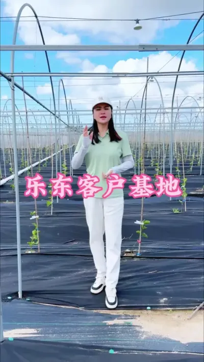 乐东客户基地技术指导扶持中！#乡村守护人 #三农 #抖音助农 #百香果#我的乡村生活 @DOU+小助手 @抖音小助手