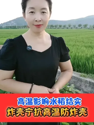 持续高温天气重视水稻田管理 炸壳宁特别添加abb花粉素，抗高温，防炸壳空壳瘪粒籽#炸壳 #水稻种植 #水稻高产技术 #农资肥料 #农业种植