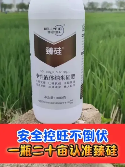 水稻安全控旺抗倒增产必备臻硅 臻硅一瓶二十亩，薄利多销