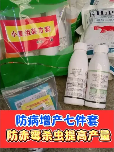 小麦防赤霉病增产七件套 小麦齐穗防赤霉病，白粉病，锈病，红蜘蛛蚜虫，增加籽粒数提高产量#三农种植 #小麦种植 #小麦 #小麦增产 #农资肥料