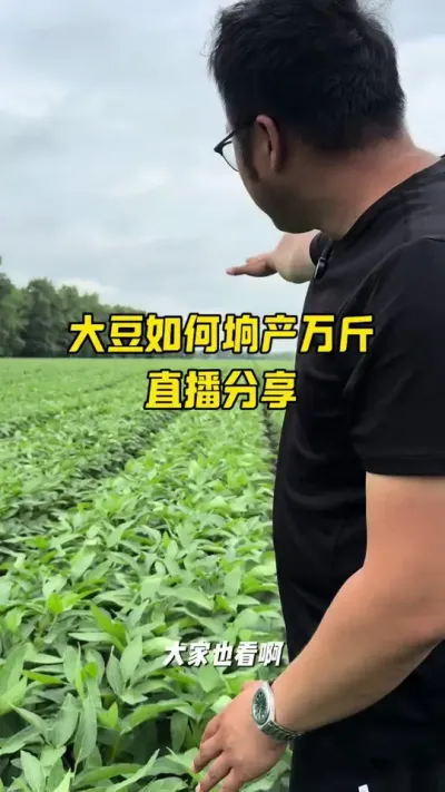 大豆如何做到垧产万斤 #农业种植 #农业技术