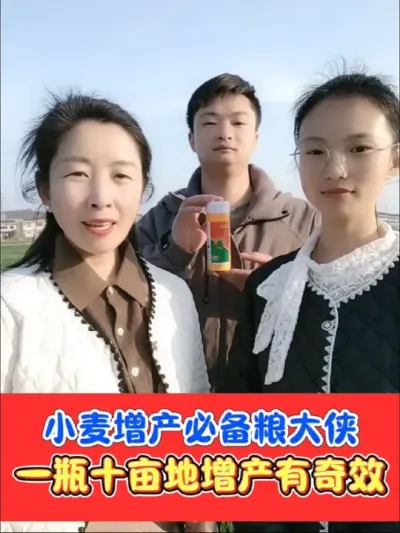 小麦增产膨大剂增产必备 粮大侠正品小麦增产膨大剂，一瓶十亩地#苄氨烷醇小麦膨大剂 #膨大剂 #小麦种植 #小麦高产技术 #高产小麦管理技术