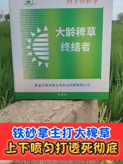 大龄稗草（大铲子）就用铁砂掌 稗草可克星铁砂掌继续补打中#水稻除草剂 #水稻除草 #吴平农资#农资肥料