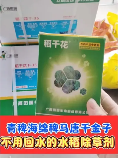 专打水稻田抗性稗草马唐，2叶期后就可以使用 水稻田抗性禾本科杂草克星，不用回水打死一地草