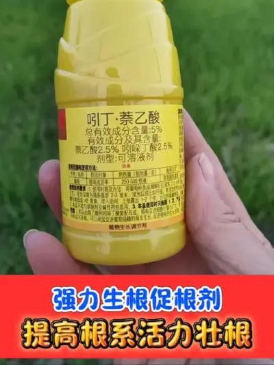 正品吲丁萘乙酸生根剂 厂价直销强力生根剂，大小包装规格齐全#生根剂 #吲丁萘乙酸 #生根 #农资肥料 #农业种植