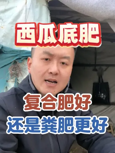 西瓜底肥到底是复合肥好还是粪肥更好 #西瓜种植 #农业种植 #种植小技巧 #传播农业小知识 #分享农业知识帮农民增产增收