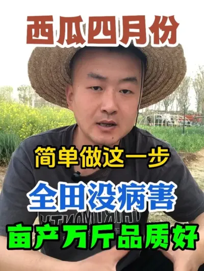 西瓜四月份简单作对这一步全田没病害亩产万斤品质好 #西瓜种植 #农业种植 #种植小技巧 #传播农业小知识 #分享农业知识帮农民增产增收