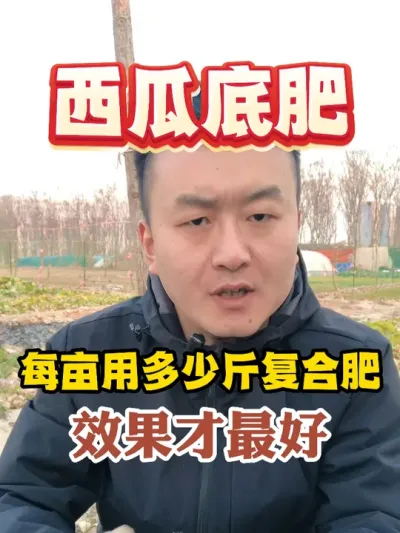 西瓜底肥每亩用多少斤复合肥效果才能最好 #西瓜种植 #农业种植 #种植小技巧 #传播农业小知识 #分享农业知识帮农民增产增收