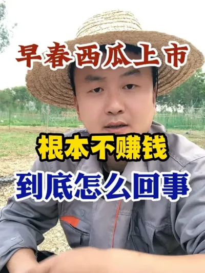 早春西瓜上市根本不赚钱到底怎么回事 #西瓜种植 #农业种植 #种植小技巧 #传播农业小知识 #分享农业知识帮农民增产增收